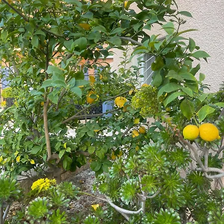 3 Bedroom House Regina Gardens 度假居 *